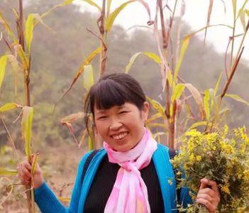 如花年华指什么时候