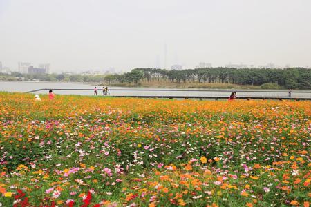 海珠湖公园停车方便吗