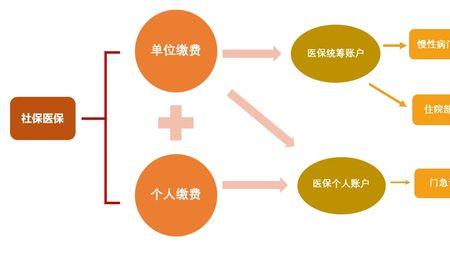 浙江省子女医保统筹是什么意思