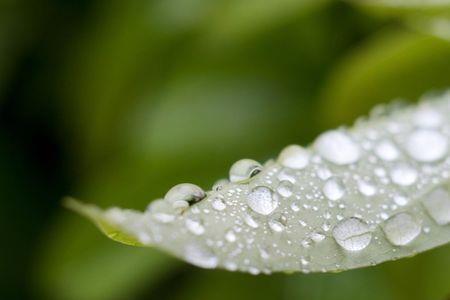 雨露恩泽什么意思