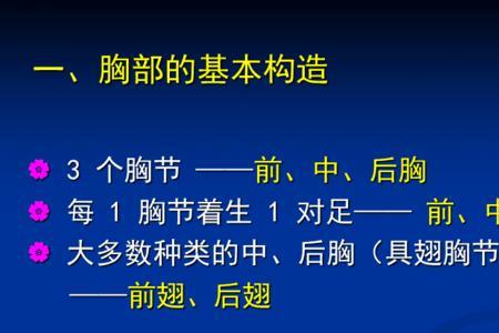 昆虫的胸足和腹足有何区别