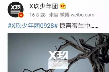 x玖成团过程为何没播