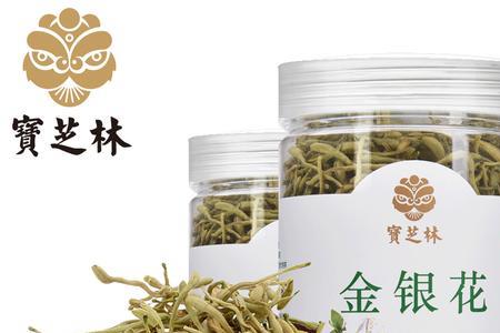 金银花logo寓意