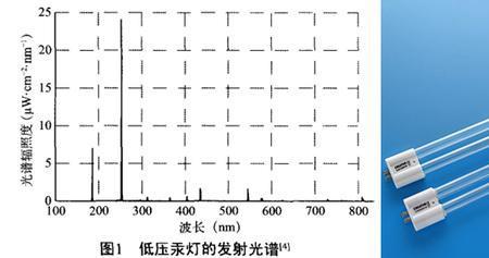 紫光灯和普通的灯的温度