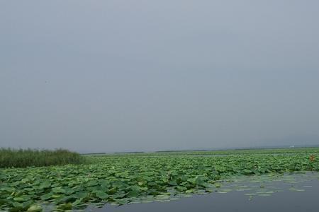 微山岛开车一圈多长时间