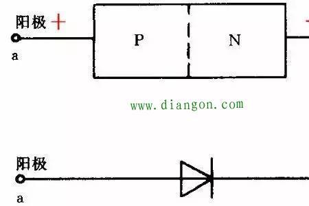 二极管横线代表什么