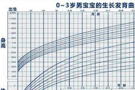 宝宝四周有多大