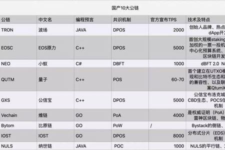 公链的八大特征