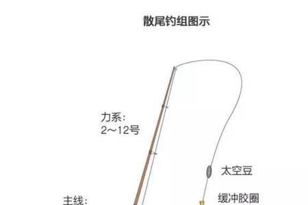 海钓铅坠沉底的正确使用方法