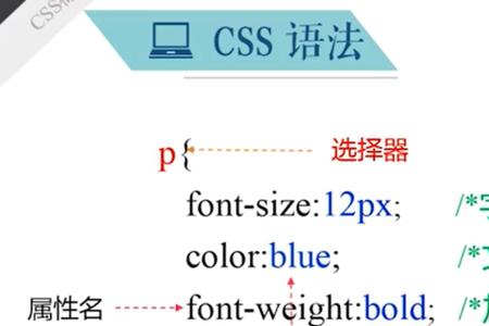 CSS样式类型不包括