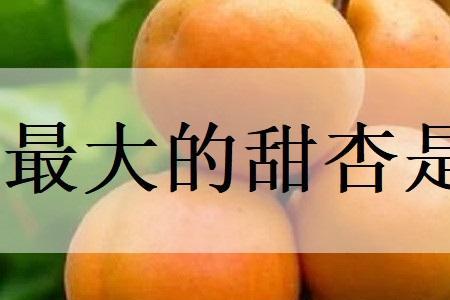 甜的首字母是什么