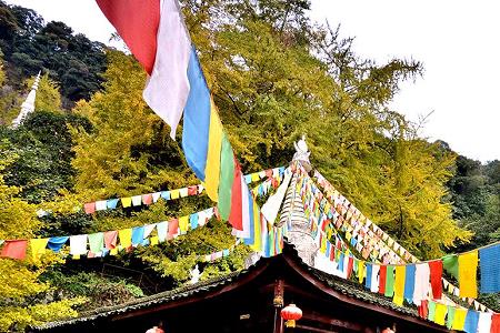 白岩寺和云顶山哪里好看