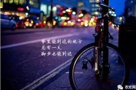 一个人的努力是什么意思