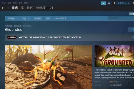 steam登陆不了游戏怎么办