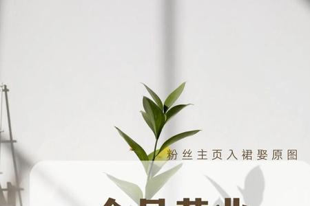 汽车养护中心早安文案