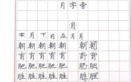 月虫字旁的字与什么有关