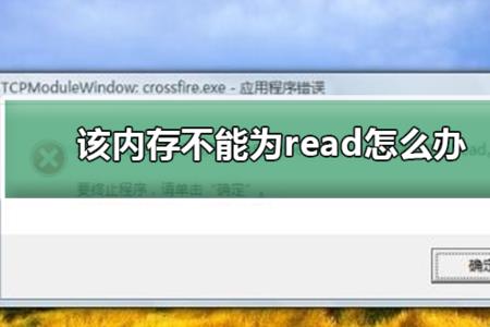 绝地求生显示该内存为read