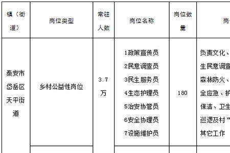 乡村公益性岗位的报名条件