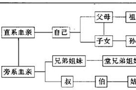 云南称呼伯伯的弟儿子叫什么