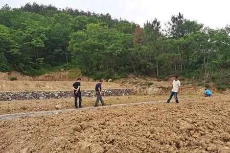 农村复垦土地怎么办