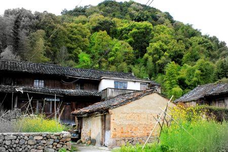 绍兴山西村介绍