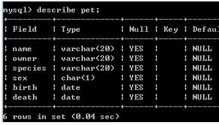 sql如何显示数据库里的数据表