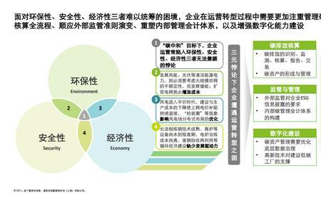 企业可持续发展的基础是什么