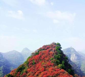 襄阳五朵山要门票吗