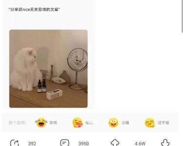 遇人不淑的文案无关爱情