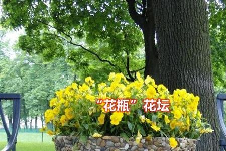 农村院子有必要留花坛吗