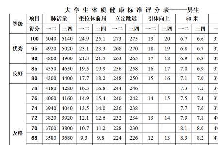 大学体测怎么算总成绩