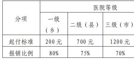 透析报销比例最新规定