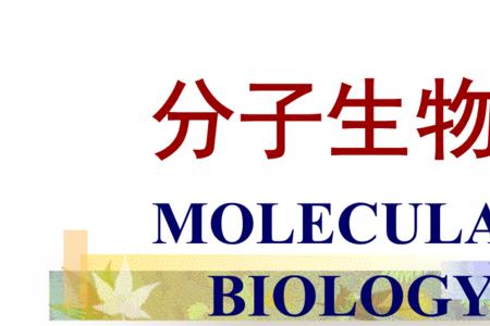 分子生物学中的kb是什么意思