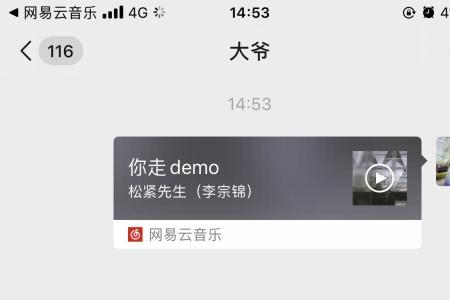 网易云歌曲可以短信分享吗