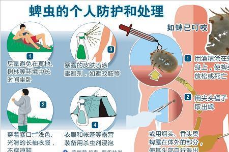 蜱虫的繁殖方式