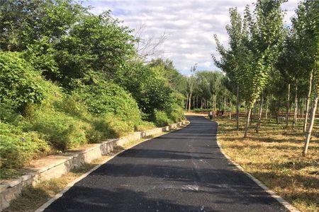 小区路面沥青一般铺几遍