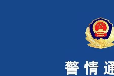 警情拟做其他处理什么意思