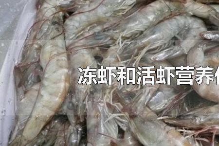 活冻虾跟死虾的区别