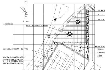 总平绿化施工流程