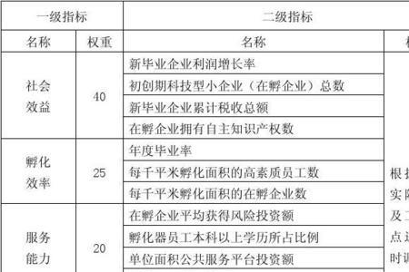 项目孵化阶段的发展目标