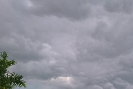 暴雨来临之际什么意思