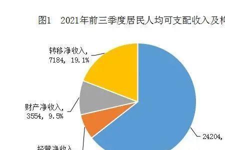 什么是支配收入