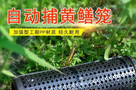 黄鳝笼子十一月份还能放