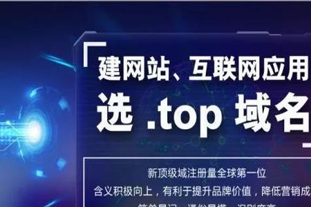 加了top1是什么意思