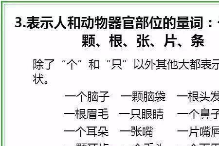 面的量词是什么