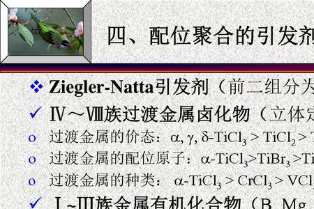 ziegler-natta引发剂是什么