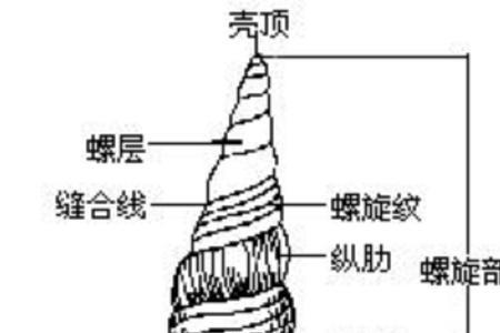 一罗穷二罗富九罗十罗的意思