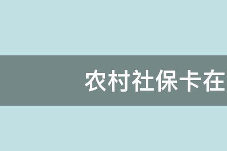 农村小孩社保卡怎么办理流程