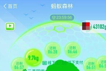 蚂蚁森林能量1公斤怎么产生的