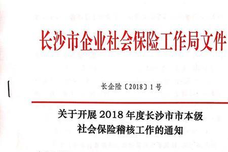 社会保险稽核办法实施细则